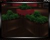 ~Old  Planter 3