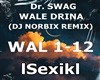 Dr. SWAG - WALE DRINA