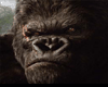 King Kong Background