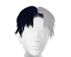 bicolor hair bluewhite