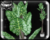 [PXL]Plant