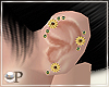 Sunny Sunflower Earrings