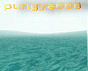 [A]pungya Sea of Luv