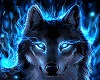 pillow wolf blue