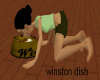 winston dog dish