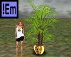!Em Brass Pot Palm Plant