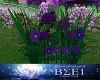 Flowers Purple]Garden]