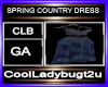 SPRING COUNTRY DRESS