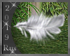 Rus: Feather particles