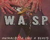 W.A.S.P poster