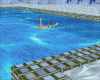 Swimming Backstroke anim