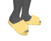 Lovely Yellow Slippers