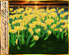 I~Wild Tulip Flowers