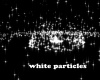 White Particles