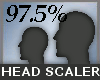 97.5% Head Scale -M-