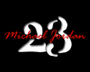 Michael Jordan Club Ligh