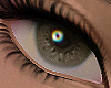 Soft Brown Eyes