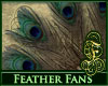Peacock Feather Fans