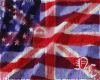 ~NC~ US and British Flag