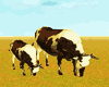 Animated Farm Cow