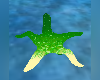 Atlantis Starfish Cuddle