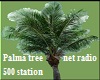 Palm Tree Net Radio