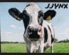 J | Cow Painting v2