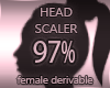 Head Scaler Resizer 97%