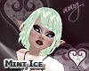 [wwg] ISAE Mint ICE