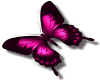 {L} pink butterfly small