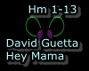 HE David Guetta Hey Mama