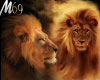 [M69] Lions Pride