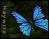 :Blue Swallow Butterfly
