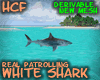 HCF Approaching Shark 