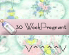 30 Weeks Pregnant (P)