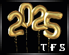2025 Balloons Sign