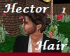 Hector Hair 1