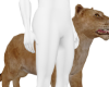 Matth Lioness