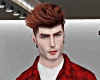 T. Plaid Red Shirt