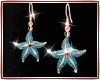 ❣Earrings|Starfish