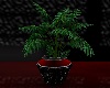 Potted Plant2 R&Blk