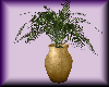 (V) Gold potted Palm