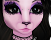 Felis F