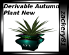 Derv Autumn Plant New