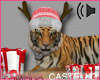 [FC] Christmas Tiger Pet