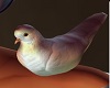 Animated Shoulder Dove
