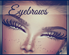 Luxury Eyebrows |💋