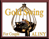 ~ Gold Couple Swing