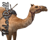 ✿ Camel (animated)