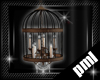 [PLM] woody bird cage